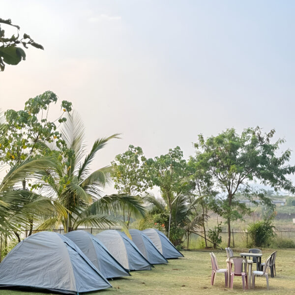 Bonfire night at Pawna Lake camping location 1